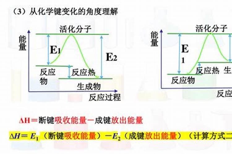 小葱用什么肥料最好