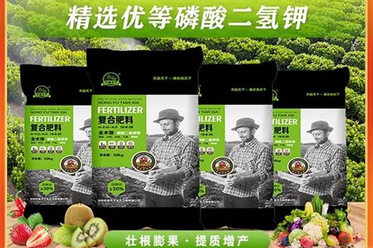 生石灰和熟石灰的区别