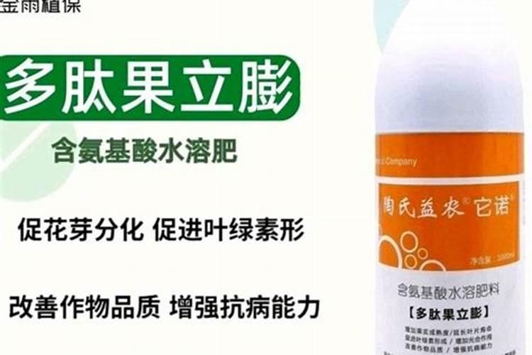 柠檬施什么肥最好