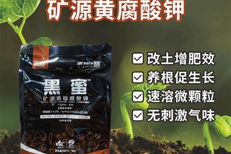 水稻孕穗期的水肥管理