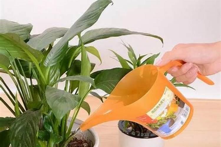 儿童洗发水有哪些品牌值得推荐