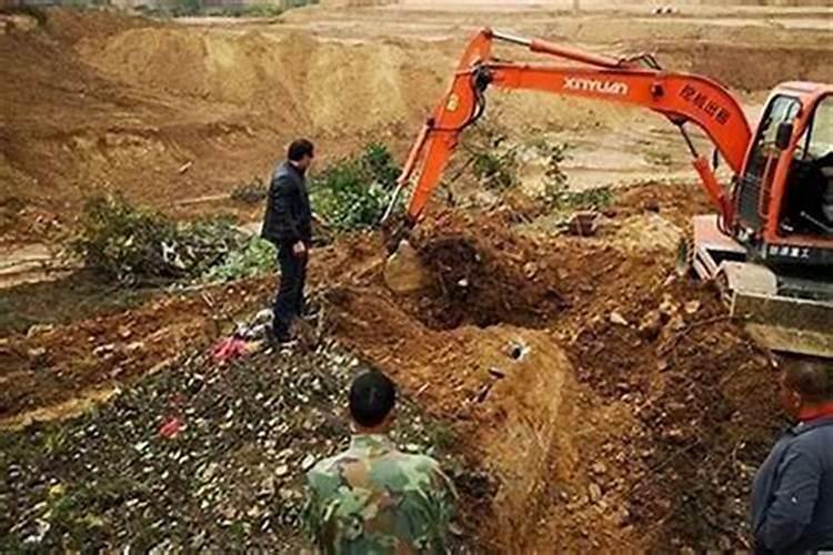 碗莲种植需要土吗