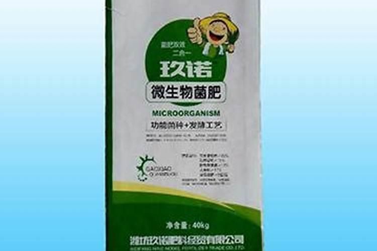 草莓果实小怎么办