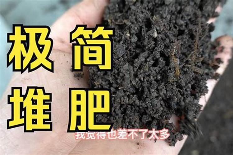 柠檬树开花结果后如何管理？