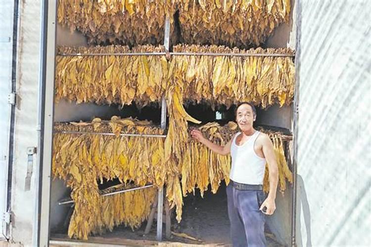 一亩烤烟用多少钾肥 什么时候施钾肥好