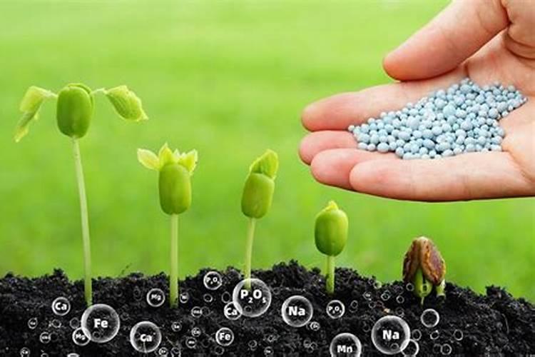 微量元素肥料使用方法 微量元素肥料有哪几种
