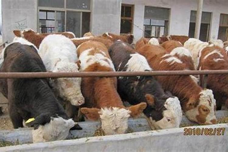 尿素施用不能做的是什么？