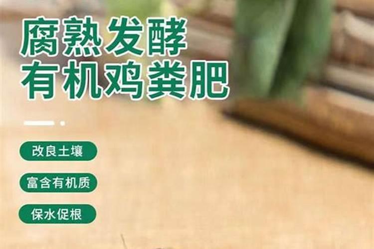 济南哪有弹棉花、套网套的地方啊？特别是西市场附近。