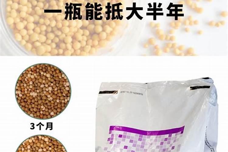 控释肥哪家好？
