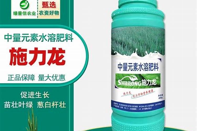 香樟树移植后怎么浇水？香樟移栽后浇水施肥方法