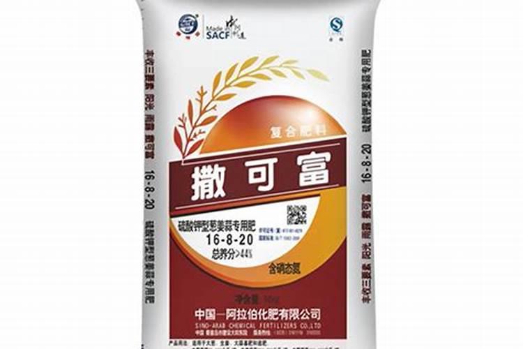 葱韭蒜干尖黄叶不要慌,掌握哪几个方法,叶片青绿长势旺？