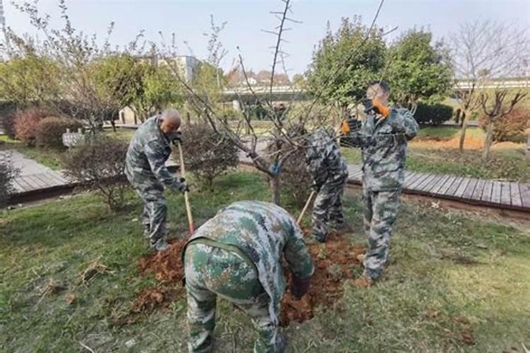 1斤水溶肥兑多少水