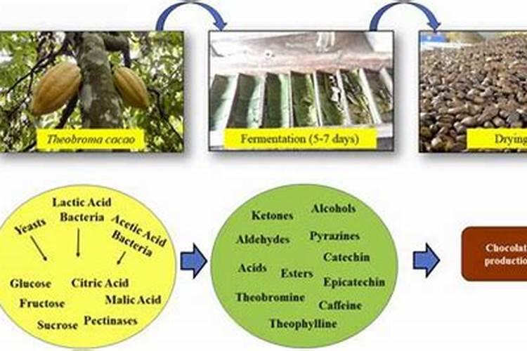 生物有机肥这么多,该如何选择？