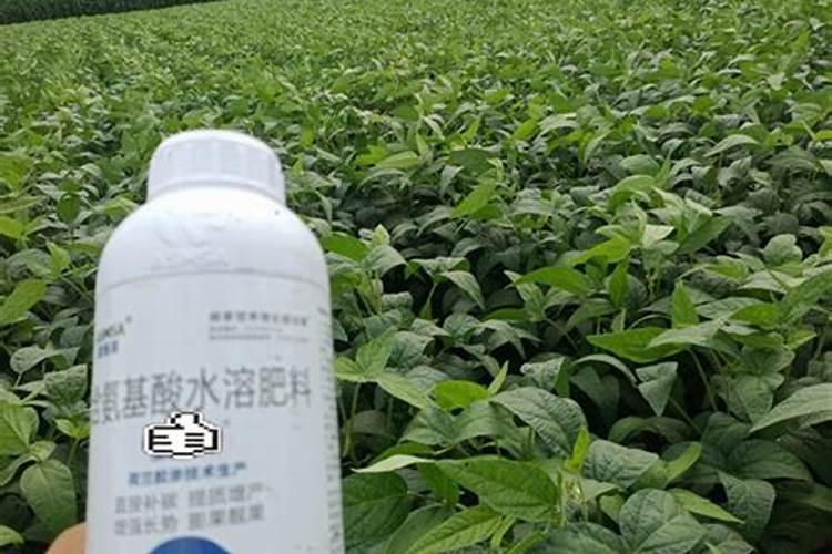 100斤麦种用多少芸苔素拌种,芸苔素如何使用