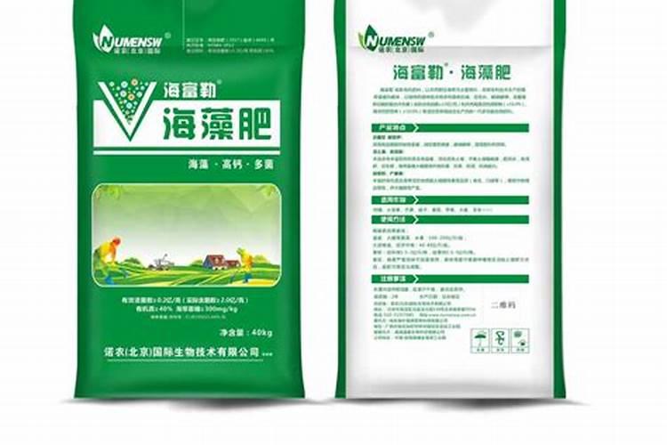 种菜用什么有机肥料最好