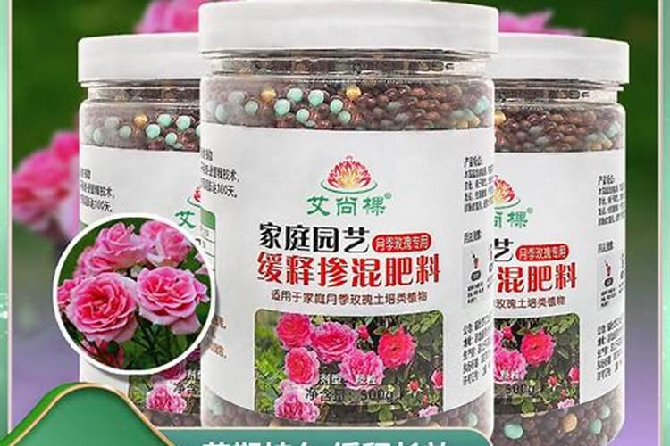 沙漠玫瑰叶尖干枯怎么办