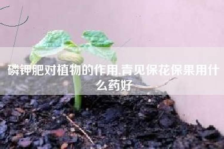 玉米如何施用硫酸锌肥料
