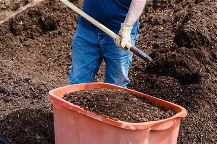 杨树施什么肥长得最快,怎么施肥？需要离树多远