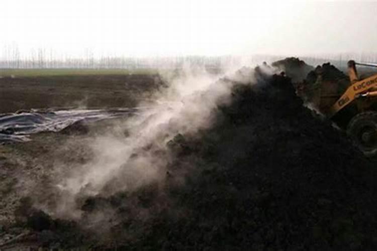 有机肥发烫什么原因