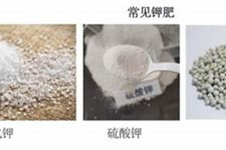 窑灰钾肥的施用方法及注意事项有哪些？