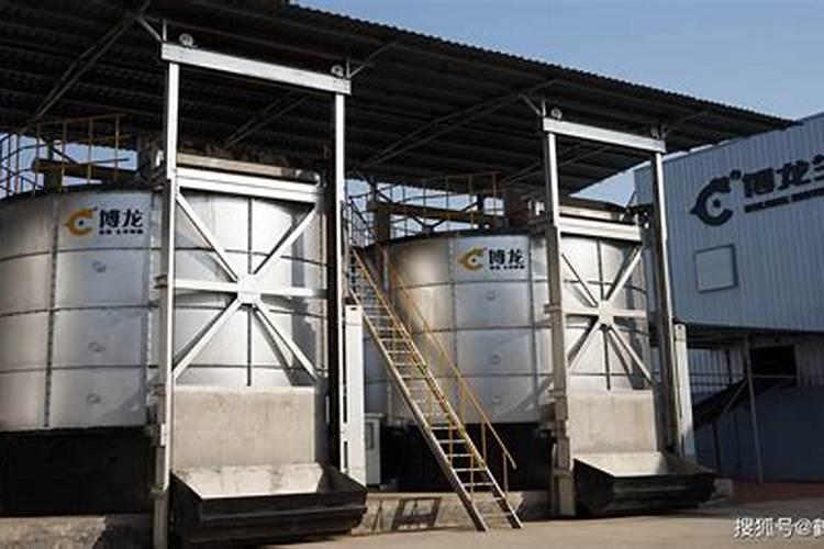 折耳根栽培技术