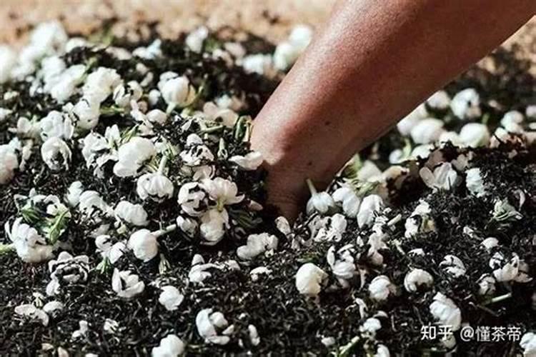 什么是鱼骨粉？