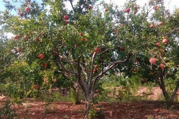 复合肥造粒工艺有哪些