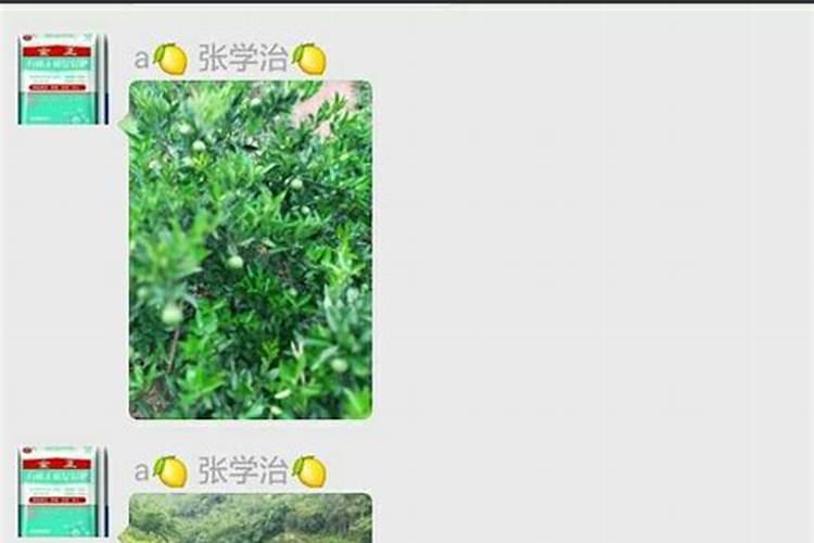 大蒜的水分管理要点是什么？