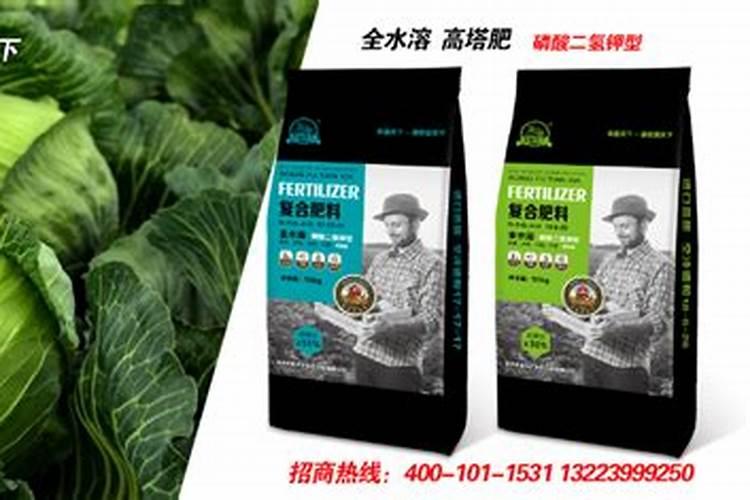 大樱桃苗喷洒农药的技术