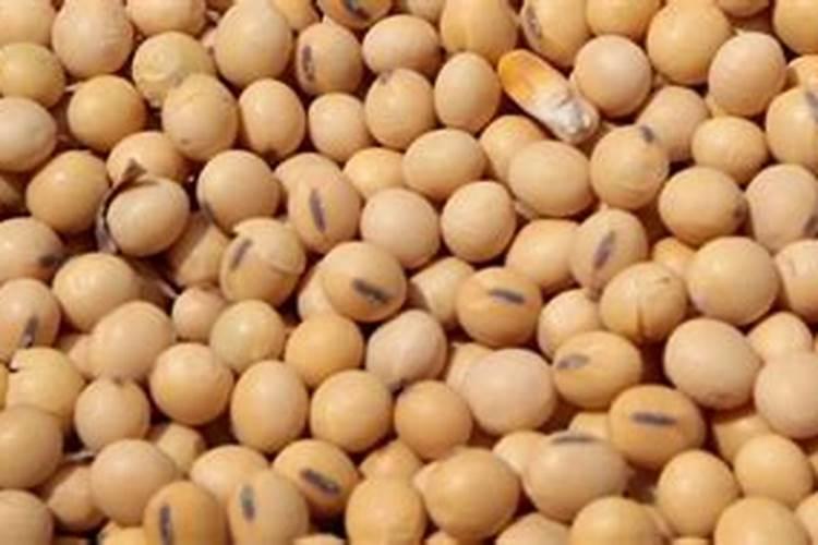 花上肥料上多了怎么办