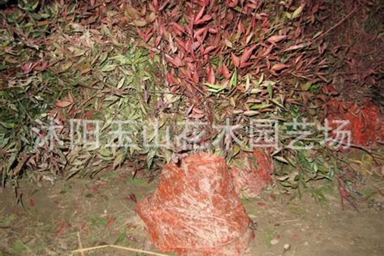 区分氮肥、磷肥、钾肥的方法有 ①看外观.氮肥、钾肥都是白色晶体;磷肥...