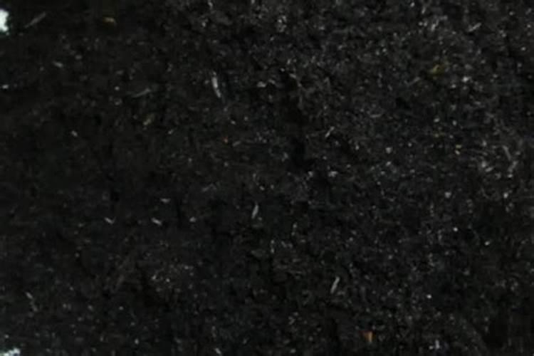 无花果用什么肥料最好