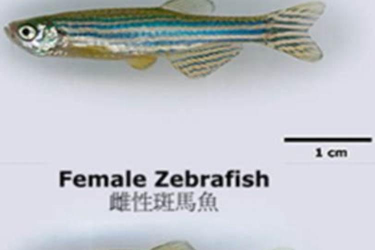 硝态氮≥7%怎么换算算