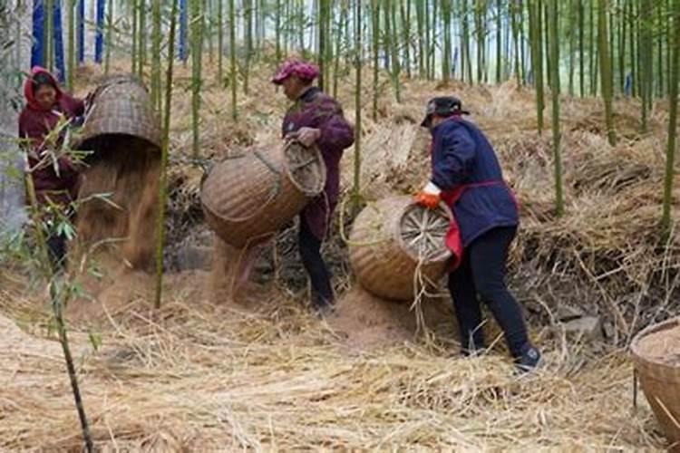 山东莘县绿康食品有限公司公司介绍