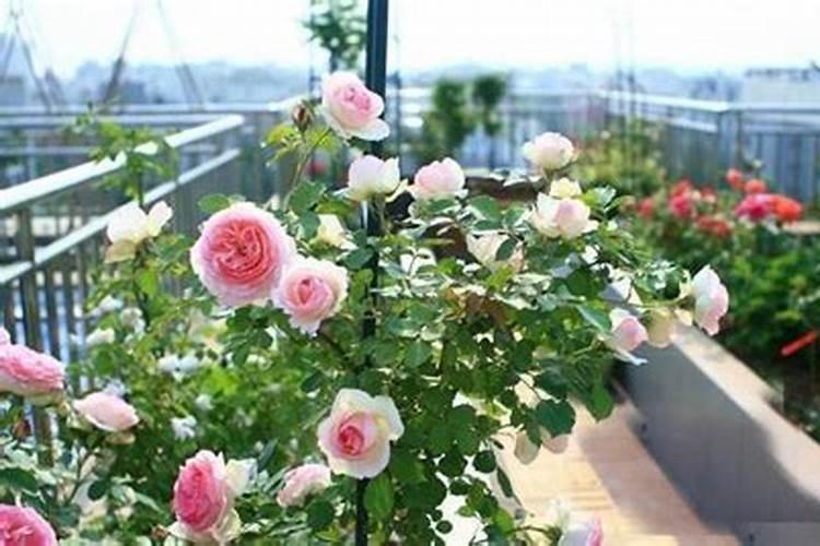 18一18一18的复合肥计算方法