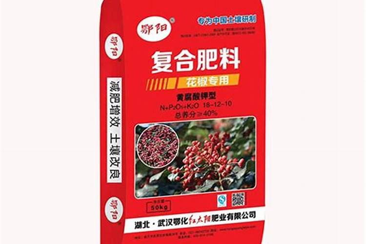 杉树种子播种的方法