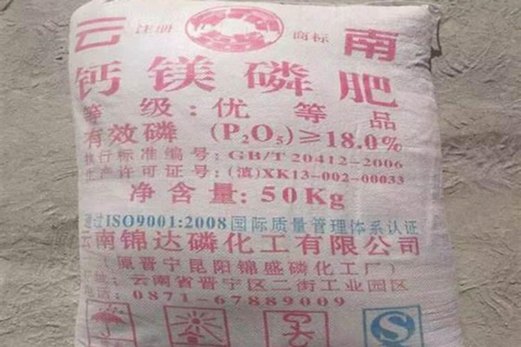 磷肥的最佳使用时间