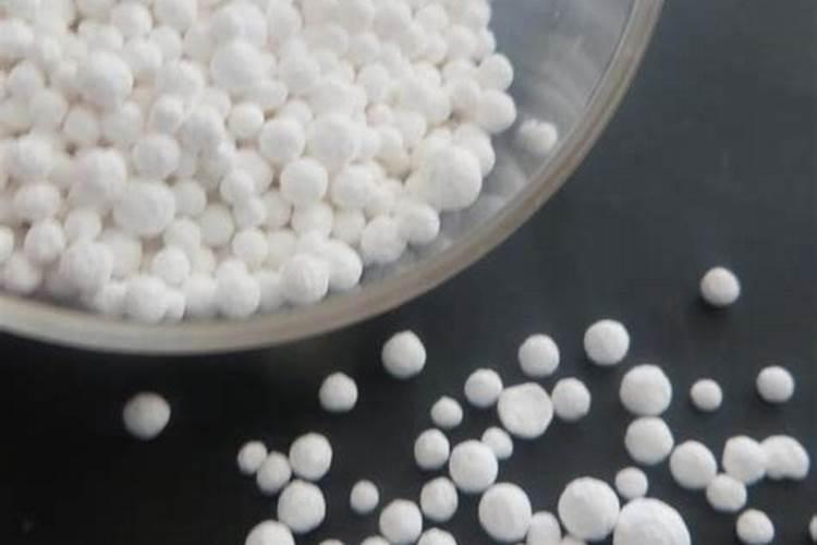 碱性土壤和酸性土壤应该种什么花