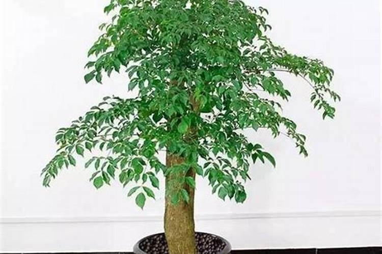 史丹利宁陵化肥有限公司怎么样