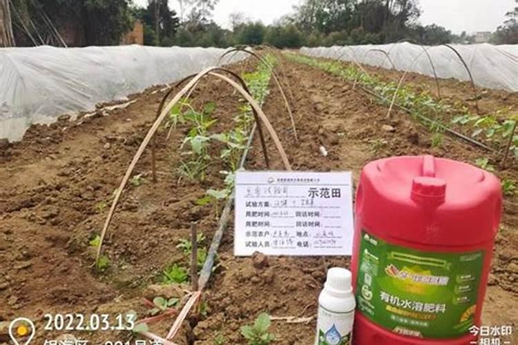 专用肥和通用肥哪种更好;配方肥和复合肥区别