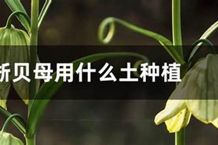 深圳市诚信中通实业有限公司怎么样？