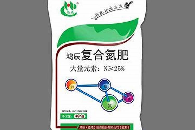 橙子树苗怎么种植