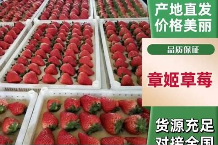 水溶肥能代替复合肥吗