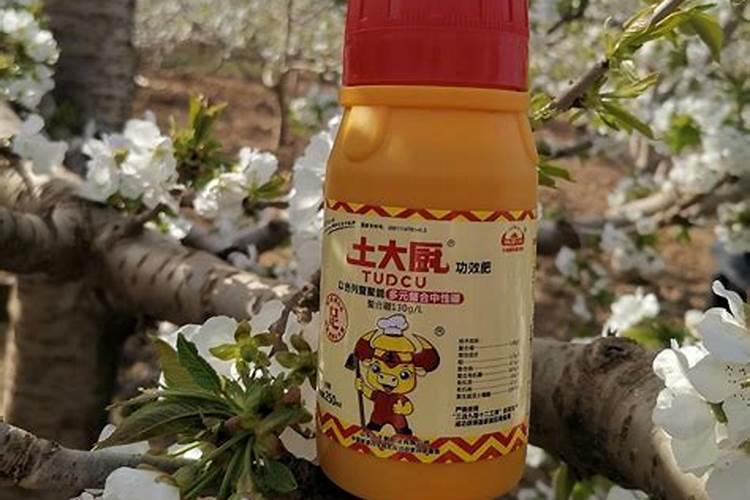 钾肥过量有什么危害科学施肥