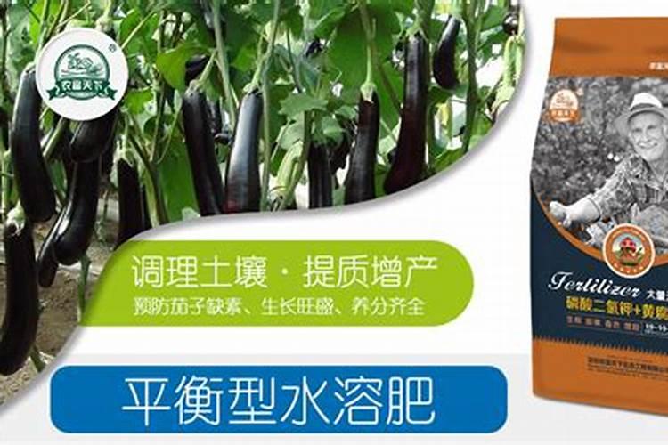 蔷薇什么时候扦插