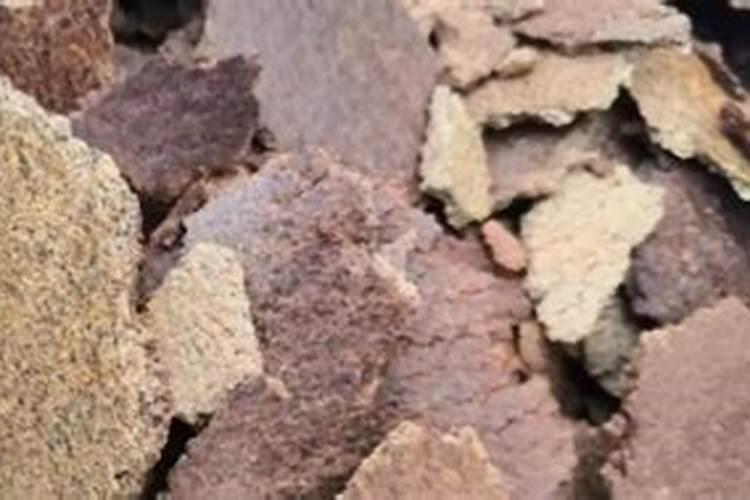 花肥中的豆饼是怎么做的