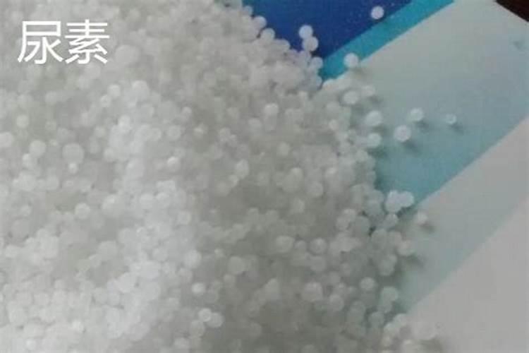 玉米地里撒尿素好呢还是打液体氮好呢？