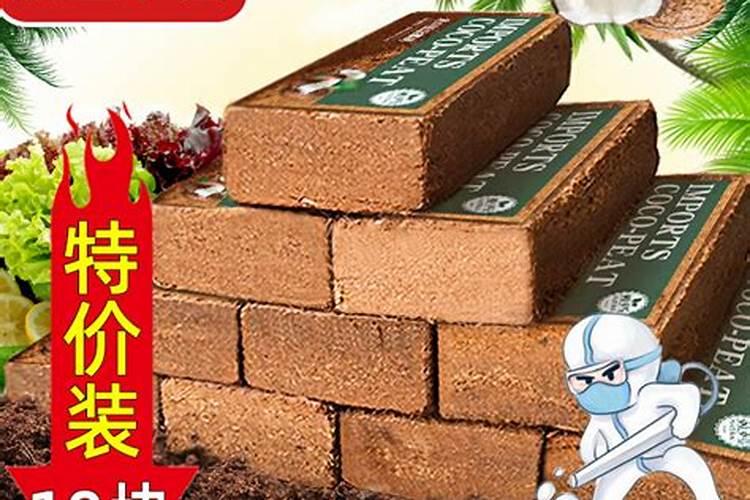 椰砖不加肥是不是不能种菜呢