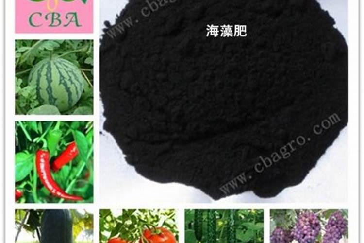 青岛明月蓝海生物科技有限公司明月海藻肥简介