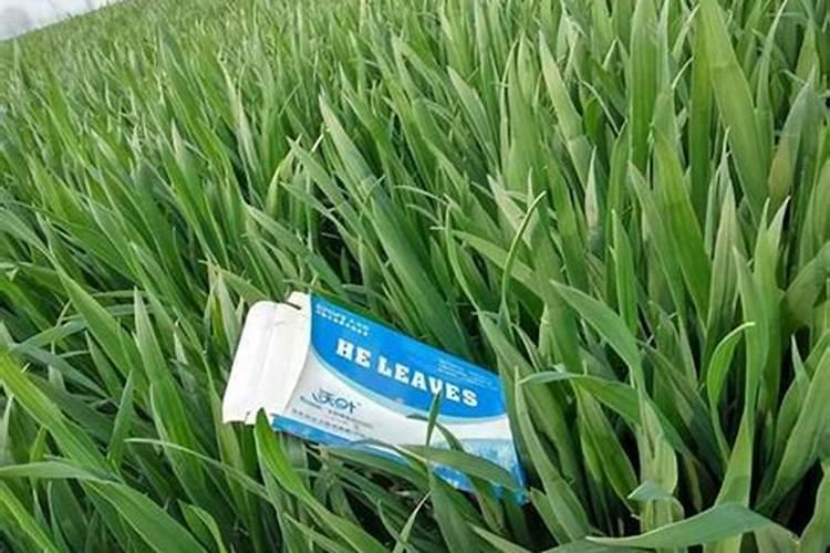 磷酸二氢钾加锌肥有什么好处